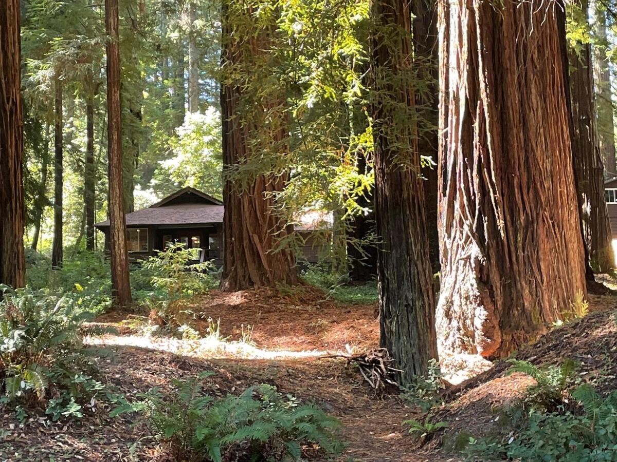 The Groves At Redway Beach - Studio Exterior photo